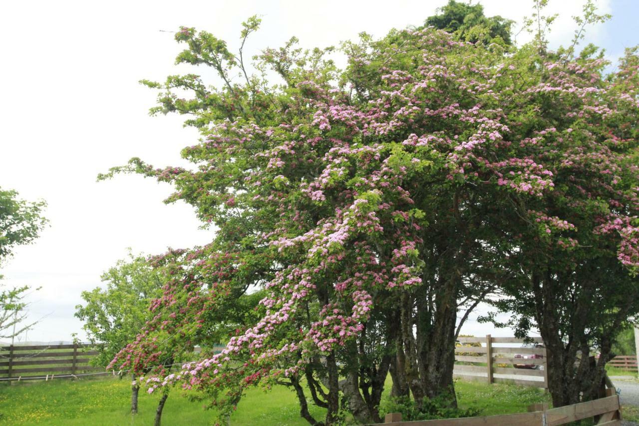 Macaulay Farm Lodge Stornoway  Esterno foto
